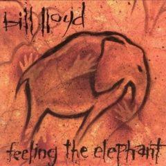 Bill Lloyd - Feeling the Elephant