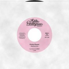 Diamond Ortiz - Pretty Please / Freddie Fonk - It's a Shame (7 inch Vinyl)