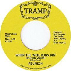 The Reunion - When The Well Runs Dry (7 inch Vinyl)