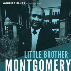 Little Brother Montgomery - Worried Blues