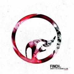 Finch - What It Is to Burn - X