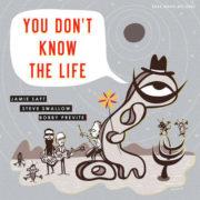 Jamie Saft / Swallow - You Don't Know The Life
