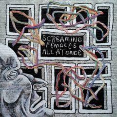 Screaming Females - All At Once  Digital Download