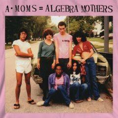 Algebra Mothers - A-Moms = Algebra Mothers