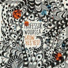 Professor Wouassa - Grow Yes Yes