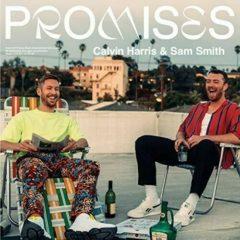 Harris,Calvin / Smith,Sam - Promises