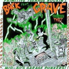 Back From The Grave - Back from the Grave 3