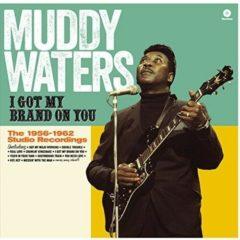 Muddy Waters - I Got My Brand on You