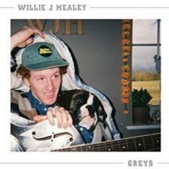 Willie J Healy - Greys (7 inch Vinyl)