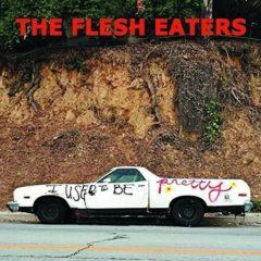 Flesh Eaters - I Used To Be Pretty  Digital Download