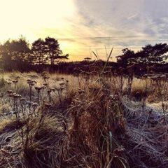 Ane Brun - Leave Me Breathless