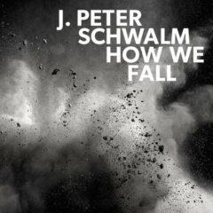 Jan-Peter Schwalm - How We Fall  180 Gram