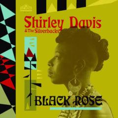 Shirley / Silverbacks Davis - Black Rose
