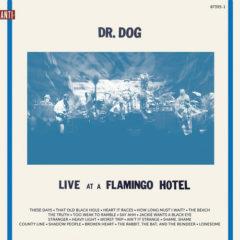 Dr Dog - Live At A Flamingo Hotel  Digital Download