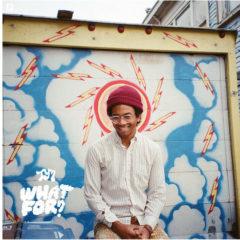 Toro y Moi - What for  Digital Download