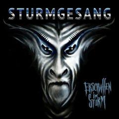 Sturmgesang - Erschaffen Im Sturm