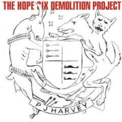 PJ Harvey - The Hope Six Demolition Project