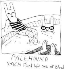 Palehound - Ymca Pool (7 inch Vinyl)