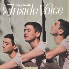 Joey Dosik - Inside Voice (stone White Vinyl)  White