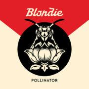 Blondie - Pollinator  Explicit