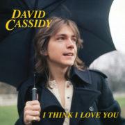 David Cassidy - I Think I Love You (7 inch Vinyl) Explicit, Pink, Blue