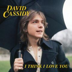 David Cassidy - I Think I Love You (7 inch Vinyl) Explicit, Pink, Blue