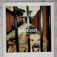 Boys Night Out - Black Dogs  10,