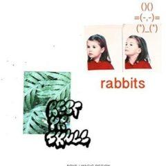 Rabbits / Rest Yr Skull (7 inch Vinyl)