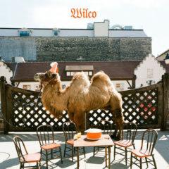 Wilco - Wilco  Picture Disc