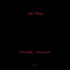 The Field - Infinite Moment  2 Pack