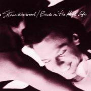 Steve Winwood ‎– Back In The High Life