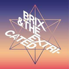 Brix & the Extricated - Moonrise Kingdom (7 inch Vinyl)