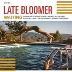 Late Bloomer - Waiting