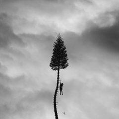 Manchester Orchestra - A Black Mile To The Surface  Digital Downlo