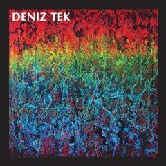 Deniz Tek - Mean Old Twister