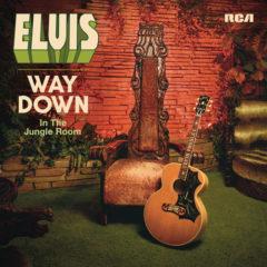 Elvis Presley - Way Down In The Jungle Room