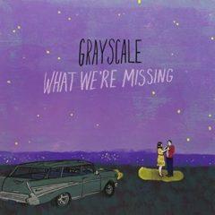 Grayscale - What We're Missing