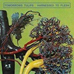 Tomorrows Tulips - Harnessed To Flesh  Digital Download
