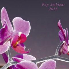 Various Artists - Pop Ambient 2016  180 Gram, With CD