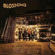The Blossoms - Blossoms