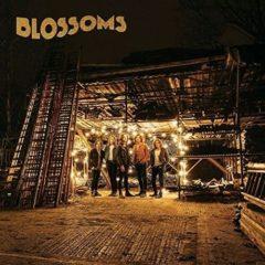 The Blossoms - Blossoms