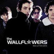 The Wallflowers - Red Letter Days