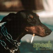 Spesh - Famous World Explicit Version