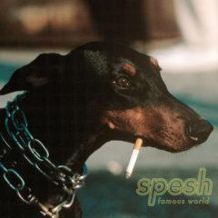 Spesh - Famous World Explicit Version