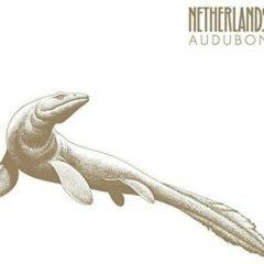 Netherlands - Audubon