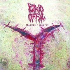 Putrid Offal - Mature Necropsy