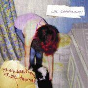 Campesinos - We Are Beautiful We Are Doomed