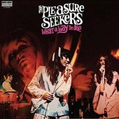 The Pleasure Seekers, Suzi Quatro - What A Way To Die