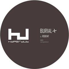 Burial - Rodent  10