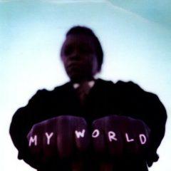 Lee Fields, Lee Fields & the Expressions - My World  Jewel Case Packa